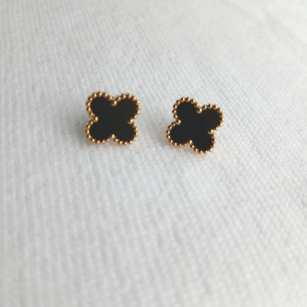 18k Stainless steel earrings